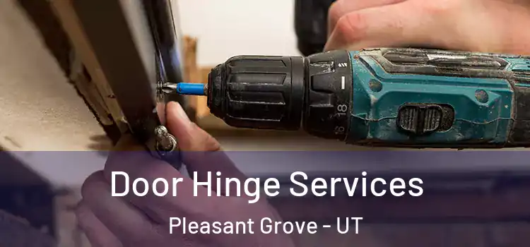Door Hinge Services Pleasant Grove - UT