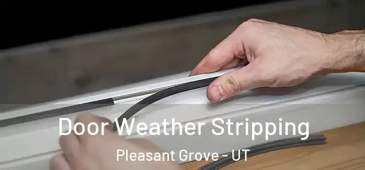 Door Weather Stripping Pleasant Grove - UT