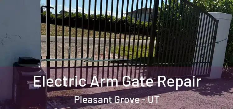 Electric Arm Gate Repair Pleasant Grove - UT