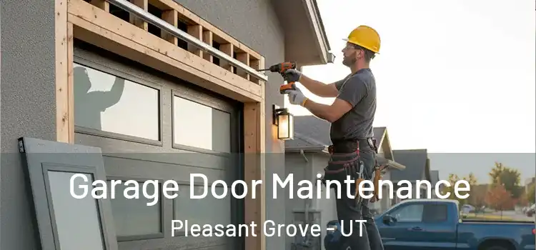 Garage Door Maintenance Pleasant Grove - UT