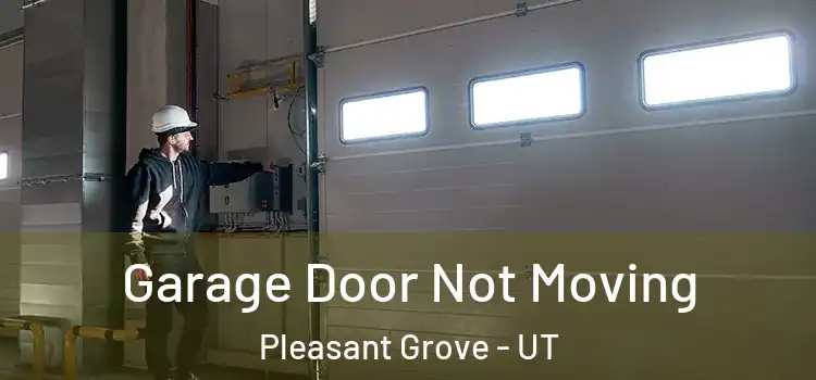  Garage Door Not Moving Pleasant Grove - UT