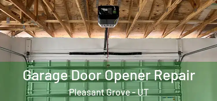  Garage Door Opener Repair Pleasant Grove - UT