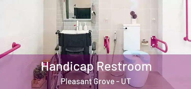  Handicap Restroom Pleasant Grove - UT