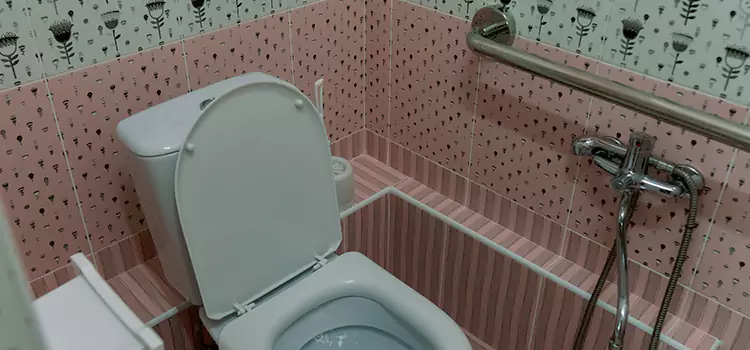 Meeting Diverse Needs With Accessible Restroom Solutions in Pleasant Grove, UT