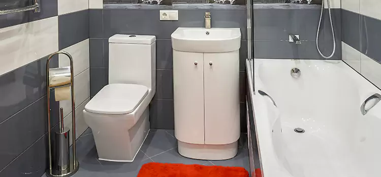 Hansgrohe Shaving Mirror Pleasant Grove