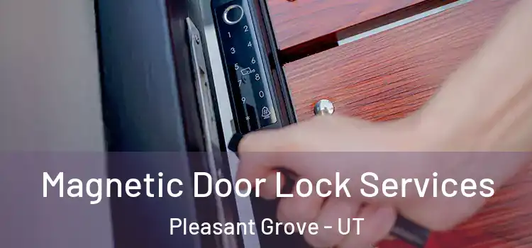Magnetic Door Lock Services Pleasant Grove - UT